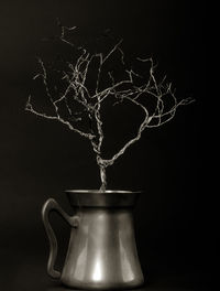 still life photography