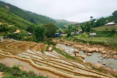 Scenic view of agricultural field against sky