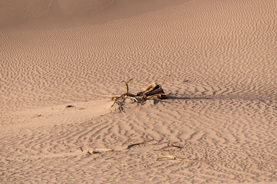 High angle view of a desert