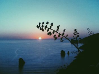 Scenic view of sea at sunset