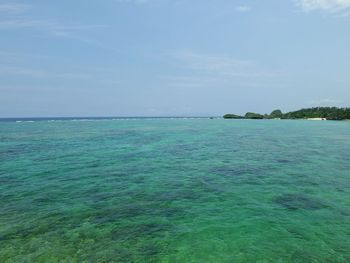 Scenic view of sea against blue sky