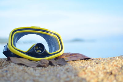 Close-up of a turtle on beach