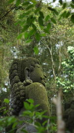 Statue of monkey on tree in forest