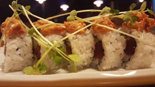 Close-up of served food in plate