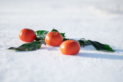 Tangerines in the snow