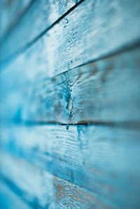 Macro shot of insect on wood