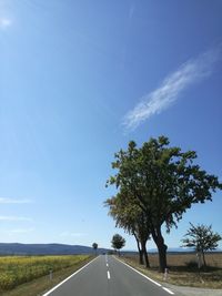 Road by trees on field against sky