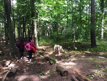 People walking in forest