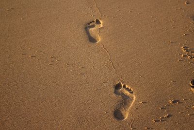 High angle view of footprints on sand at beach