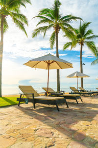 Palm trees on beach against sky