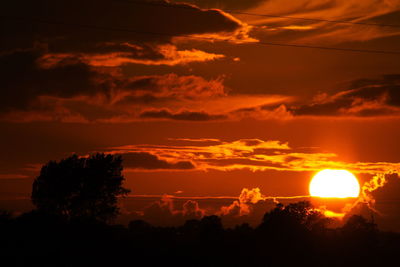 Silhouette trees against sky during sunset