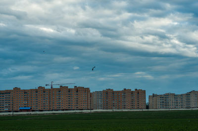 Birds flying over city against sky