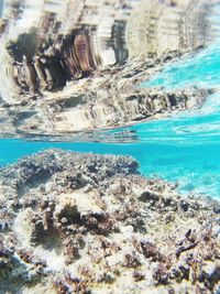 Aerial view of sea and rocks