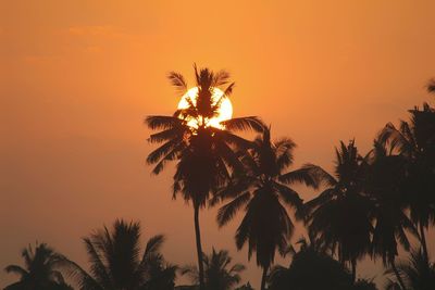 Low angle view of silhouette coconut palm tree against romantic sky