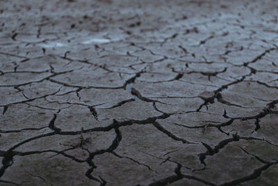 Full frame shot of cracked land