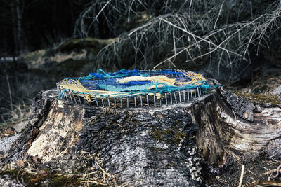 Crochet on tree stump at forest