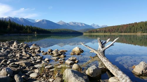 Scenic view of calm lake against clear sky