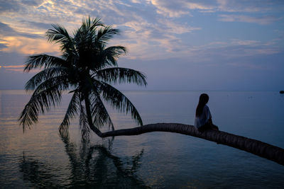 Rear view of woman sitting over sea on palm tree during sunset