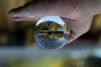 Close-up of hand holding glass