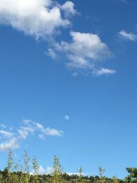 Low angle view of trees against cloudy sky