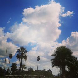 Low angle view of palm trees against cloudy sky