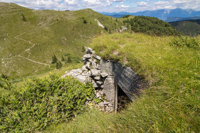 Plants growing on land against mountains