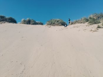 Man on sand at beach against clear sky