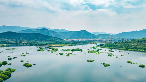 The reservoir is filled with water over the treetops