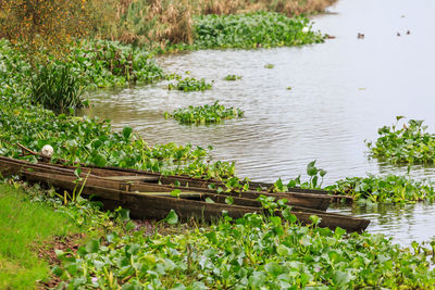 Scenic view of lake