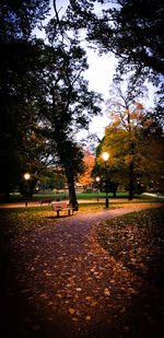 Trees in park during autumn