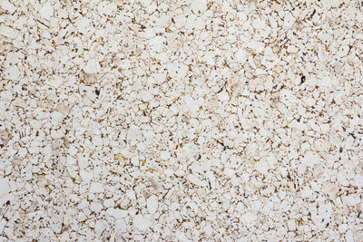 Full frame shot of berries