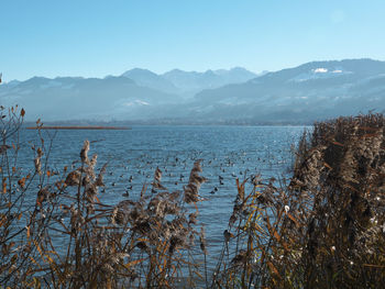 Scenic view of lake against sky