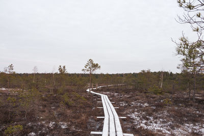 Scenic view of road amidst trees against sky