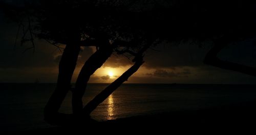 Silhouette of trees at sunset