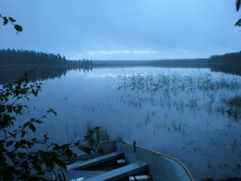 Reflection of trees in calm lake