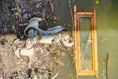 High angle view of an animal on lake