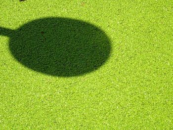 High angle view of green field