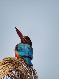 Look up at the sky. there is a light, a beauty up there, that no shadow can touch.