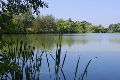 Scenic view of lake against clear sky