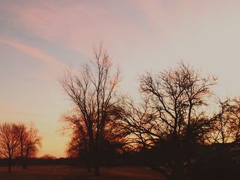 Silhouette of bare trees at sunset