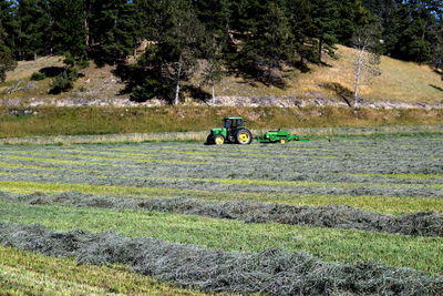 People sitting in field