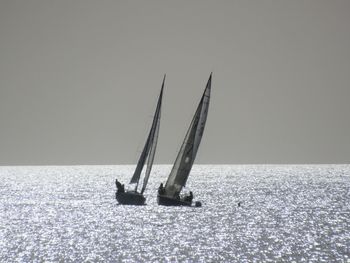 Sailboat sailing on sea against clear sky