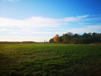 Scenic view of field against sky