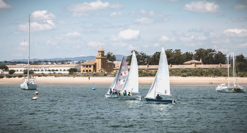 Sailboats sailing in sea against sky