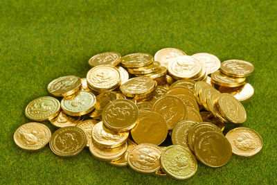 High angle view of coins on grass