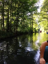 View of people in pond