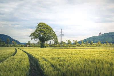 Scenic view of agricultural field against sky