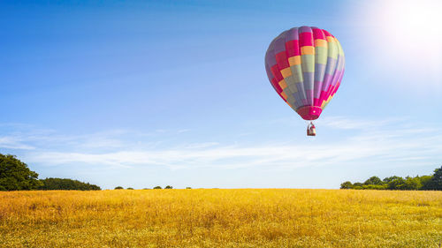 View of hot air balloons on field against sky