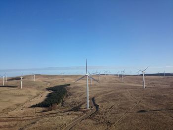 View of trees against clear blue sky