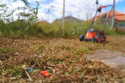 Toy car on field